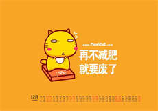 猫爪论坛问题答案
